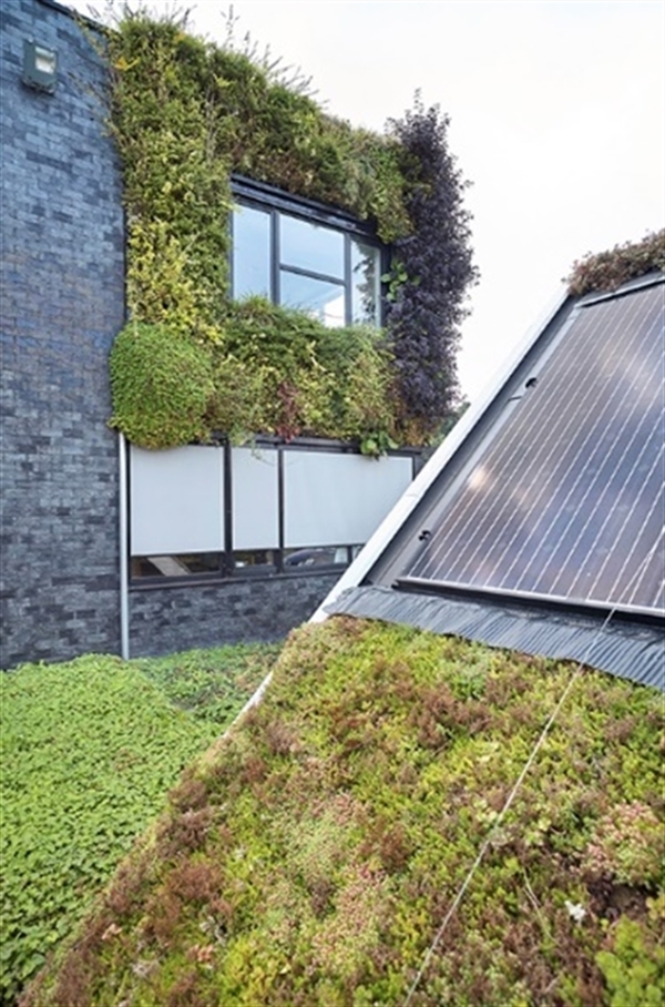 Gebouw met groene gevel en groen dak gecombineerd met zonnepanelen.