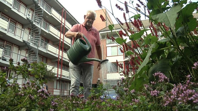 De 78-jarige Rein van Voorst sproeit iedere dag de planten met regenwater. Foto: RTV Utrecht / Peter Knieriem