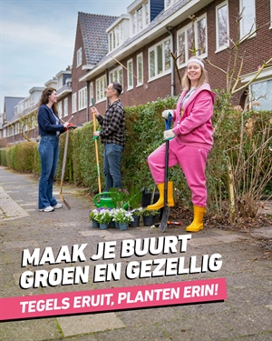 foto_feed_met_tekstn