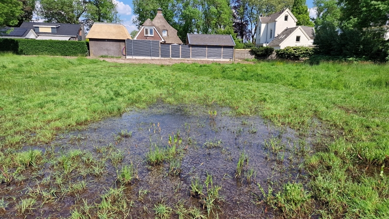 geen wadi-wel muggen-Zetten-denHartog2024
